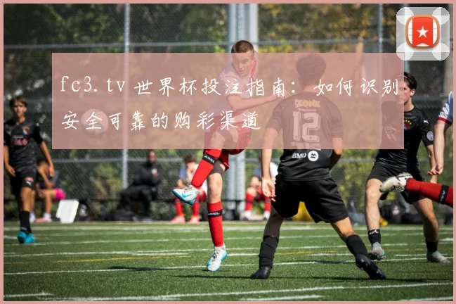 fc3.tv 世界杯投注指南：如何识别安全可靠的购彩渠道