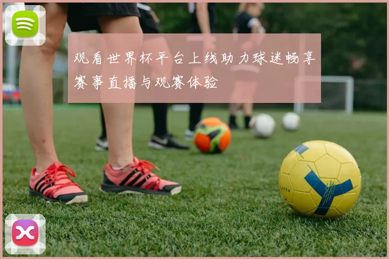 观看世界杯平台上线助力球迷畅享赛事直播与观赛体验