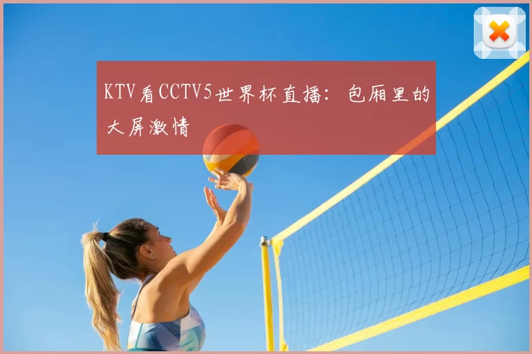 KTV看CCTV5世界杯直播:包厢里的大屏激情