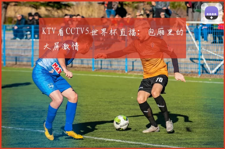 KTV看CCTV5世界杯直播：包厢里的大屏激情