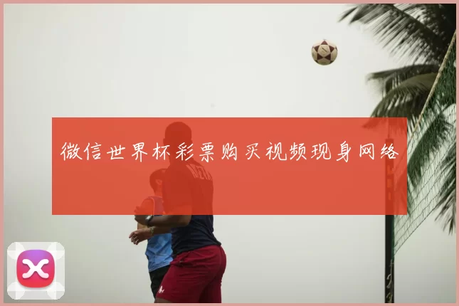 微信世界杯彩票购买视频现身网络