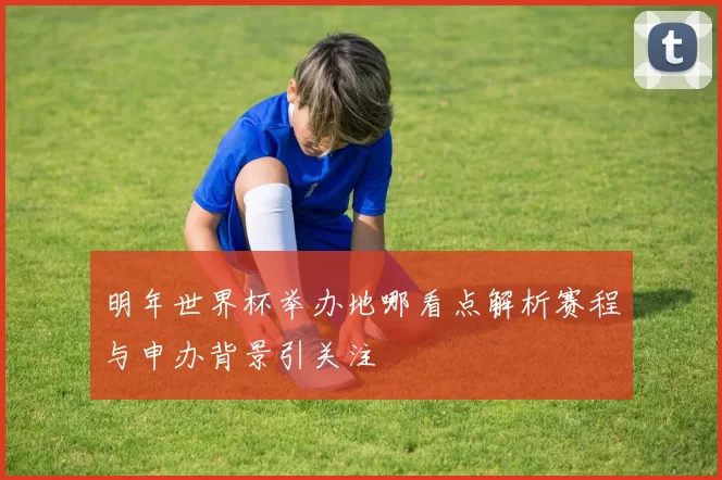 明年世界杯举办地哪看点解析赛程与申办背景引关注