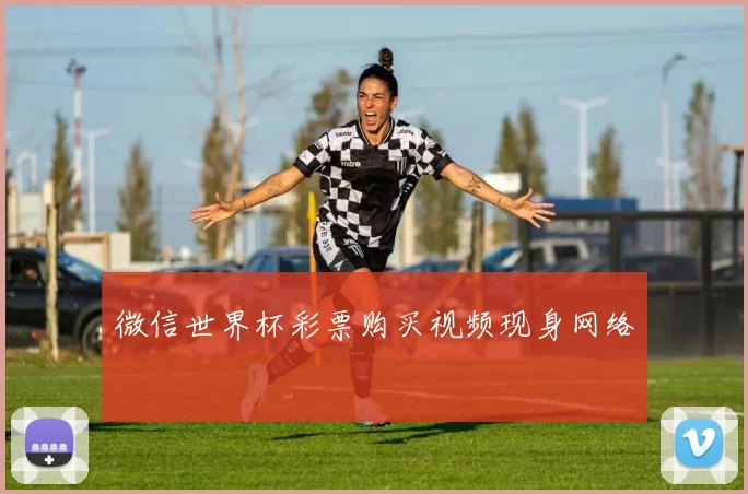 微信世界杯彩票购买视频现身网络