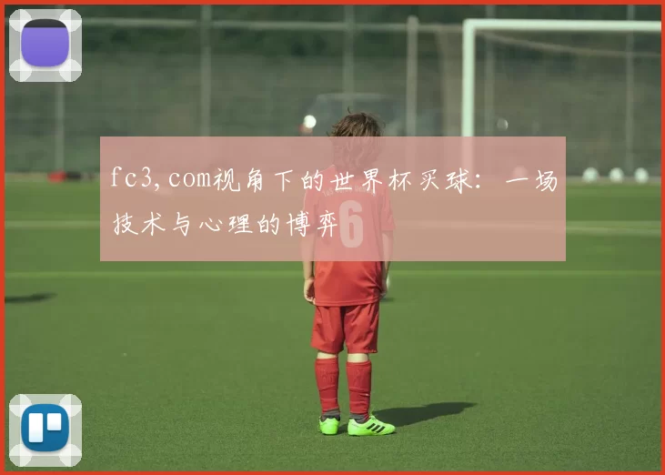 fc3,com视角下的世界杯买球：一场技术与心理的博弈