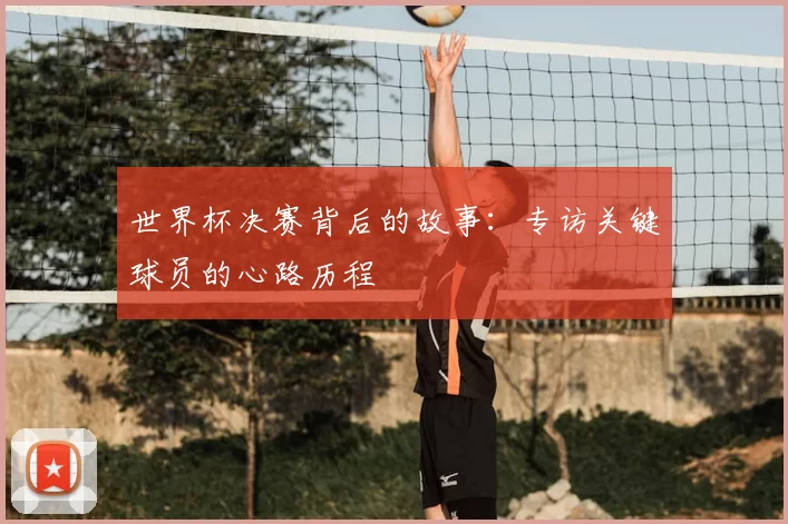 世界杯决赛背后的故事：专访关键球员的心路历程