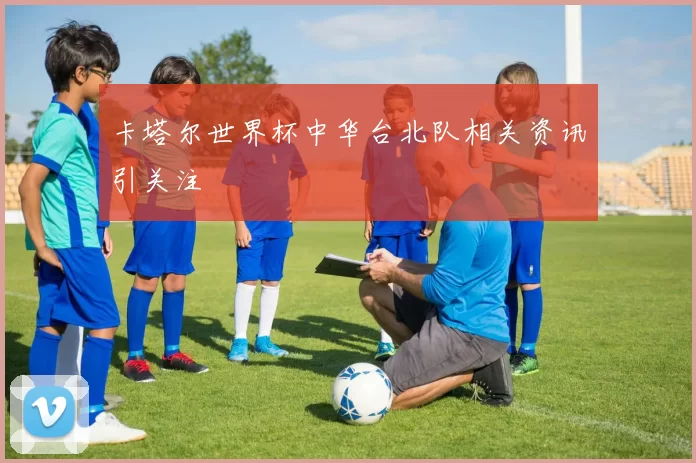 卡塔尔世界杯中华台北队相关资讯引关注