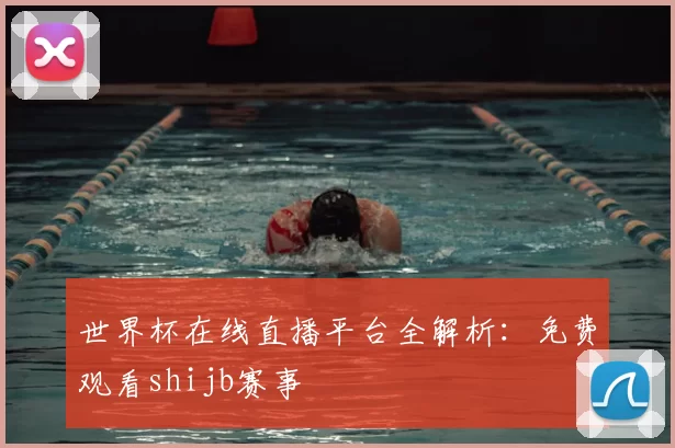 世界杯在线直播平台全解析：免费观看shijb赛事